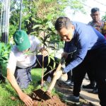 Beragam Pohon Produktif Ditanam di Tebet ce84975712d322d6f813044a20f844bc
