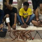 IMG-20230708-WA0019-1