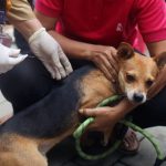 e317695a87a22c0af9d3450a7a8335b5