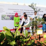 d554af2017c1e4bde3afcf9e09fecf3c