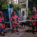 Ular Sanca Tiga Meter Dievakuasi dari Pulau Lancang 9270e44d867d3df734669a9844630a11