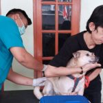 6.564 HPR di Jakut Divaksinasi Rabies Selama 2023 6d4820c2a023f27f77ef84f8f1661abf
