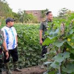 Pj Bupati Aceh Besar Tinjau Kebun Jagung dan Melon Yonif Raider 112/DJ img_20240112_wa00001