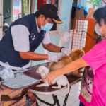 35 Ekor Hewan Peliharaan Warga Angke Divaksinasi Rabies 8f4216c6cd2541f789e23f5bef00f7e7