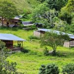 Cegah Deforestasi Hutan, DLHK Aceh Terapkan Sembilan Langkah whatsapp_image_2024_03_03_at_17_52_041