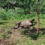 whatsapp_image_2024-03-29_at_3_52_33_pm1