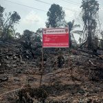 Petani Sayur Ditangkap Usai Bakar Lahan Milik PT Pertamina Hulu Rokan petani-sayur-ditangkap-usai-bakar-l