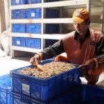 Budi Daya Maggot Digencarkan Atasi Persoalan Sampah di Cipete Selatan c080eb527d74d0e5a191042b092bafd0