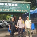 25e552c7a588323c70e582a49aa11043