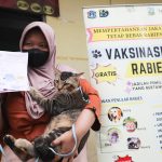 5.803 HPR di Jakpus Telah Divaksin Rabies 2918808c121f657207af156065ca9f3a