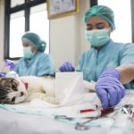 8f9b9c6e46e22f11d86d1746fa038e14