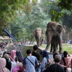 9d3f69662e6d0603430d2aeef835ce30