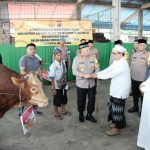 IMG-20250104-WA0030-768x512