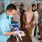 020390f4dc1870d4703dcca09d9f32f8