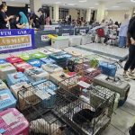 57a251734e62cc0e73e6653fb93ce9cc