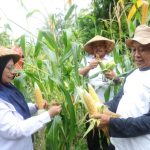 e31174d1ffbe16b657bc142815bdfdec