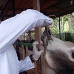 whatsapp_image_2025-02-27_at_09_02_541