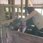 whatsapp_image_2025_02_05_at_19_19_291