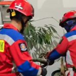 Deby Apresiasi Petugas Gulkarmat Cepat Evakuasi Ular dari Rumahnya 052cf0b308eff9d1a871f87ef9a85da5