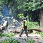 6e77cb62ab592783825bd41999ae6d39