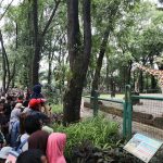 2d01fce46993654d99b02712ccd555a9