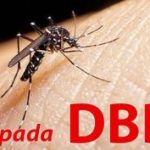 1471-kasus-dbd-dalam-empat-bulan