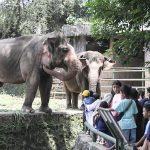 60afe89ae134c6a93ca3a920a4ec6a3a