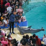 7629754470952184f0901c7e583abac6