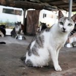 a07b1678943d7e7aa905963c23eb590d