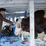 2e7a12daeb1e30cfb46f86350d57507c