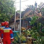 cfa049efdda155350150337020b8230d