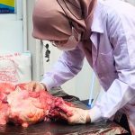 f30ed499c351c75627c6cb548acc0c0a