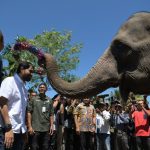 whatsapp_image_2025_06_19_at_15_54_051