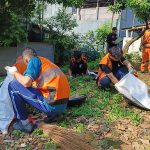 5e88b0078a243840b41a9319d2a2193d