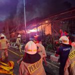 61e1189fbc4bb9674fce35a2f4723274