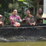 e4998153d9d1a961a6ff992a2de54886