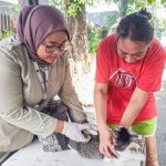 f0683ba8738121bc417915ba4eca1ac9