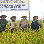 13c28185e3871065aac01faea9cbc981