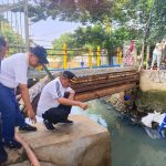 b613f2c581da3ca3eb513867e840a975