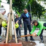 Arifin Tanam Pohon Tebabuya Pink di Areal Masjid Sunda Kelapa Wali Kota Arifin menyiram tanaman tabebuya pink usai ditanam