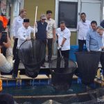Panen Raya di Kepulauan Seribu Hasilkan 1.500 Kilogram Ikan Kerapu Cantang
