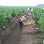 IMG-20251021-WA0058