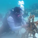 Sudin KPKP Lakukan Transplantasi Terumbu Karang di Pulau Pramuk