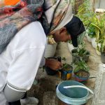 Musim Hujan Picu Peningkatan Kasus DBD di Jakarta