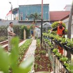 Kelurahan Marunda Sulap Lahan Tidur Jadi Taman Oranye