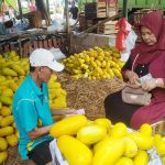 Berkah Ramadan Dirasakan Pedagang Timun Suri Berkah Ramadan Dirasakan Pedagang Timun Suri