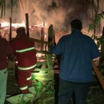 puluhan-ternak-kambing-dan-ayam-di