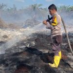 riau-tetapkan-siaga-darurat-karhutl
