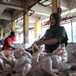 Pemprov DKI Terus Berupaya Jaga Kestabilan Harga Pangan Jelang Idulfitri 1447 H