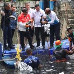 bcca1a8dcf626ee33112a9a18fda896c